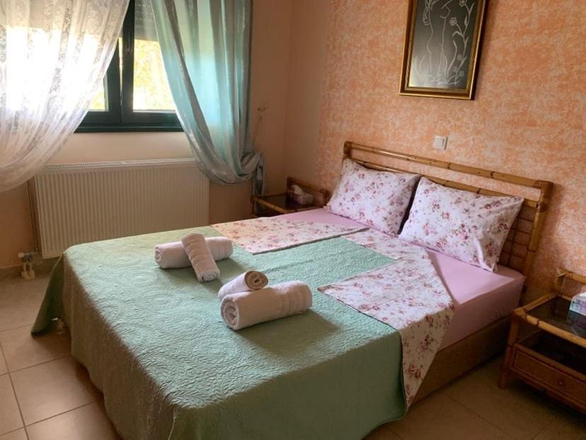 Dora'S Garden Villa アレクサンドルポリス エクステリア 写真